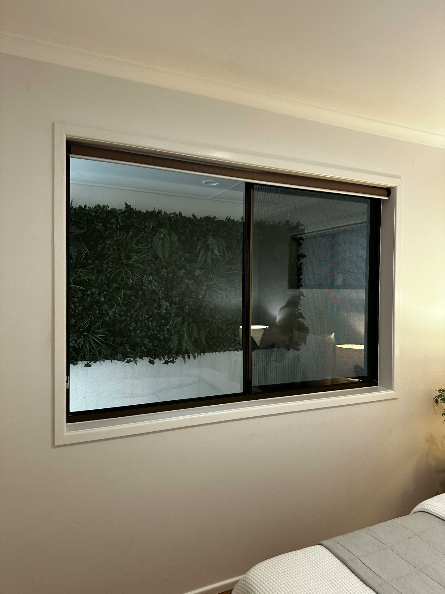 Internal outlook towards the lane separating the two dwellings